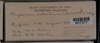 Image Associated With the Occurence